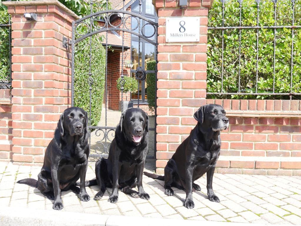 Guest house Millers House Boutique