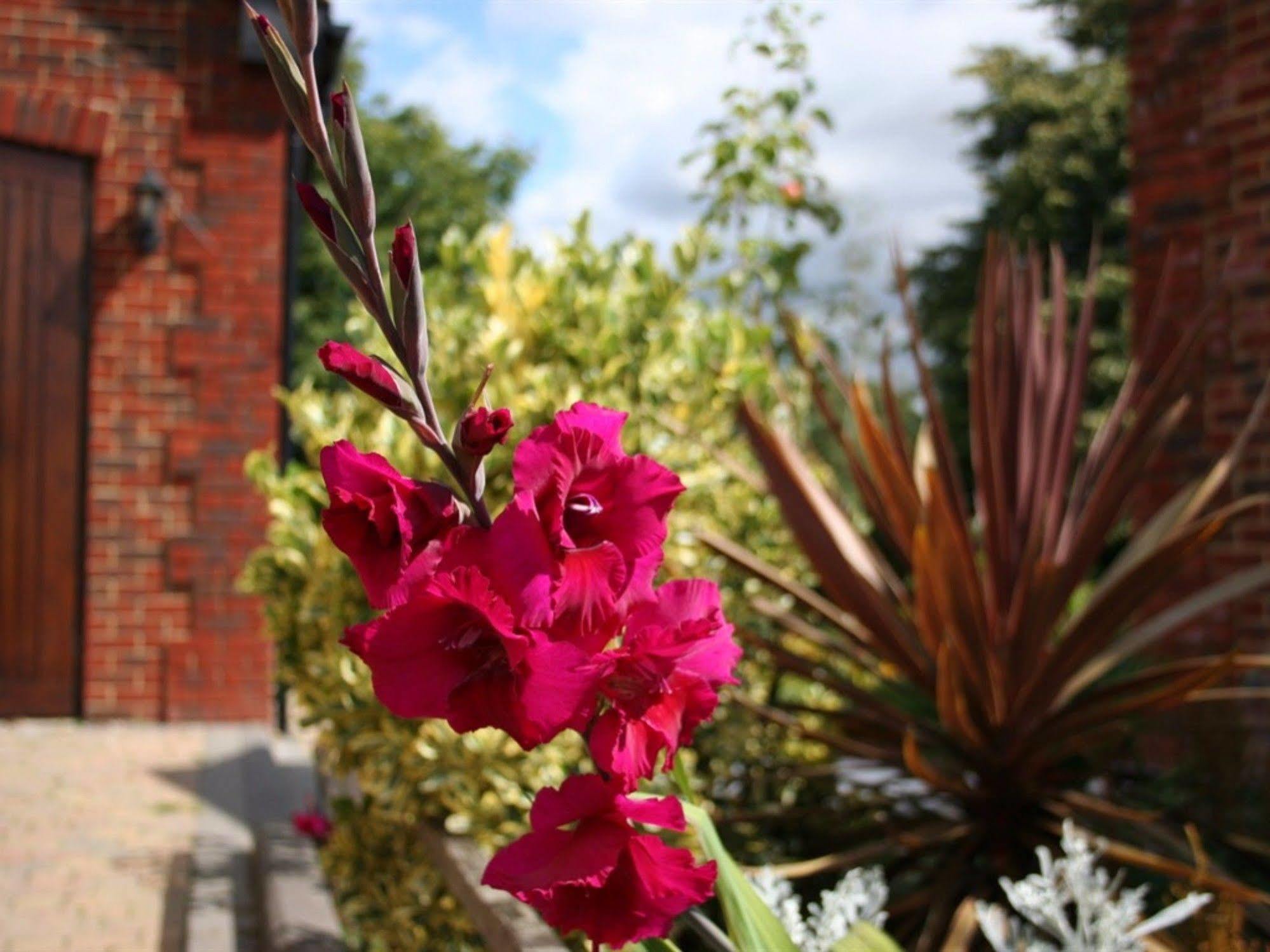Millers House Boutique Guest house 4*